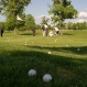 Golf Club Lipica