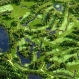European Center Golf Club